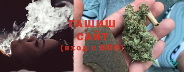 хмурый Бородино