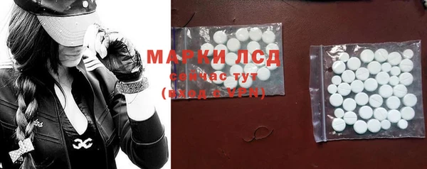 хмурый Бородино