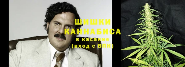 хмурый Бородино