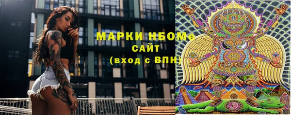 хмурый Бородино