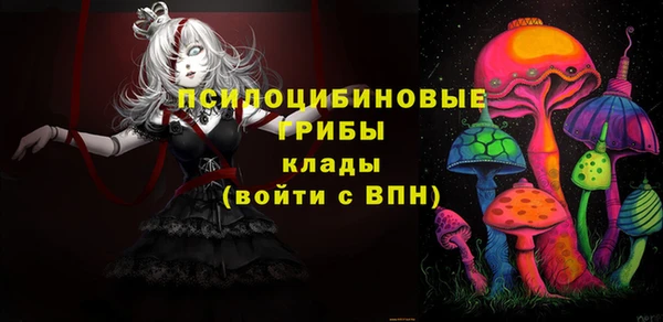 МДМА Богданович