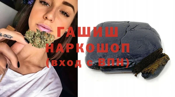 хмурый Бородино