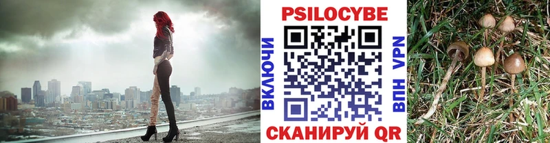 цены   Торопец  Псилоцибиновые грибы мухоморы 